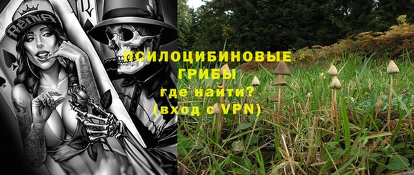 прущая мука Верея