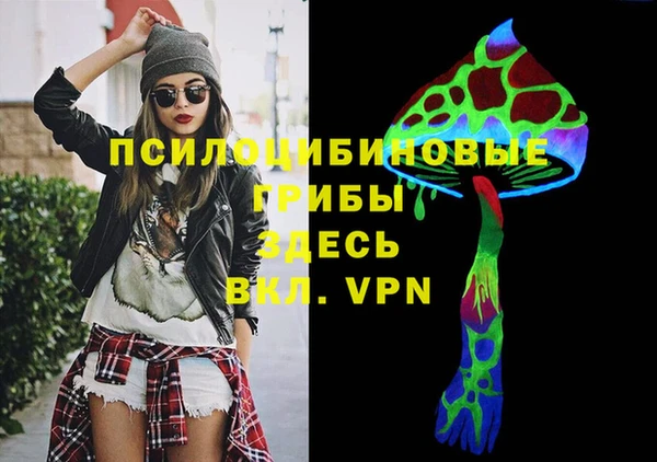 прущая мука Верея