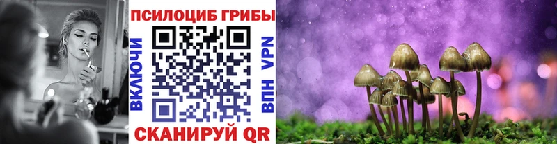 Псилоцибиновые грибы Psilocybine cubensis  Магнитогорск 