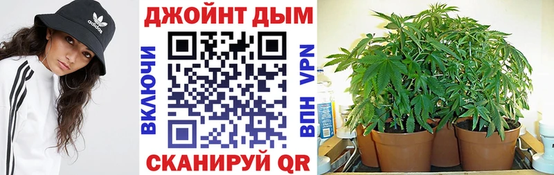 Каннабис SATIVA & INDICA  наркотики  Магнитогорск 